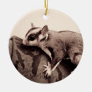 Search for sugar glider christmas tree decorations Australian