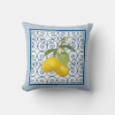 Search for tuscan cushions Blue and white