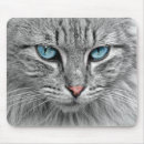 Search for bright eye electronics Cat