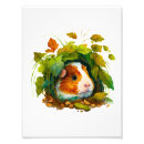 Search for cute guinea pig posters Cavies