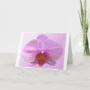 Search for sensual cards Photography