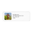 Search for africa return address labels Giraffe