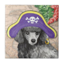 Search for pirates tiles Jolly roger