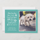 Search for cat pictures invitations Puppy