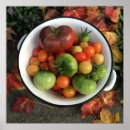 Search for heirloom posters Tomatoes