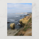 Search for seabirds postcards Beach
