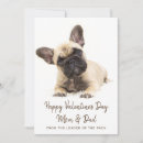 Search for french bulldog valentines day cards From the dog