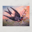 Search for blue swallow postcards Animals