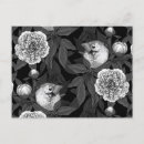 Search for peonies postcards Moody