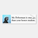 Search for doberman bumper stickers Dobie