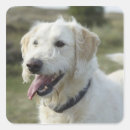 Search for land animal stickers Outdoors