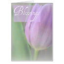 Search for easter tulip Pretty