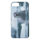 Search for marine mammal iphone cases Alaska