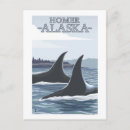 Search for homer postcards Alaska