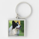Search for border collie key rings Animal