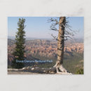 Search for bryce canyon Sunset