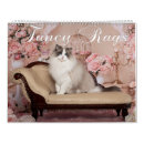 Search for cat fancy Kittens