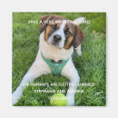 Search for dog save the dates Unique