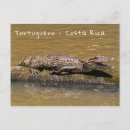 Search for cold blooded postcards Danger