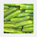 Search for fresh magnets Clean