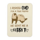 Search for ferret magnets Pet