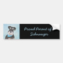Search for miniature schnauzer bumper stickers Standard