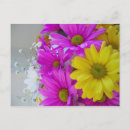 Search for pumpkin birthday cards White