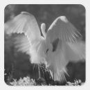 Search for white egret stickers Artistic