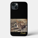 Search for ocelot electronics Exotic