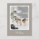 Search for winter snow wolf postcards Wolves