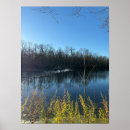 Search for tree reflection Photography