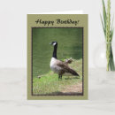 Search for canadian wildlife cards Geese