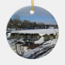 Search for wisconsin christmas tree decorations Winter