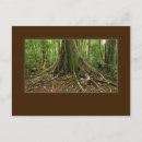 Search for treehouse postcards Forest