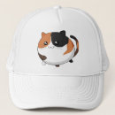 Search for calico hats Kitty