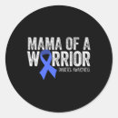 Search for diabetes warrior stickers Affordable insulin