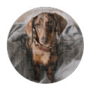 Search for dachshund chopping boards Canine