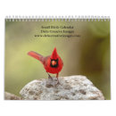 Search for robin bird calendars Blue jay