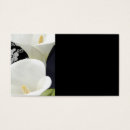 Search for arums White