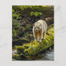 Search for cathy vertical postcards Danita delimont