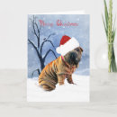 Search for peis cards Cute