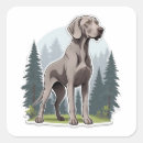 Search for weimaraner stickers Cute