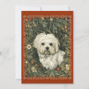 Search for bichon christmas cards Cute