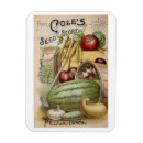 Search for seed magnets Vintage