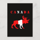 Search for funny wildlife postcards Moose