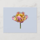 Search for holographic postcards Iridescent