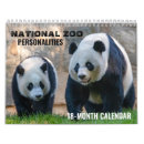 Search for panda bear calendars Cute