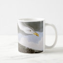 Search for early america mugs Biology