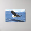 Search for haliaeetus canvas prints Homer