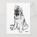 Search for k 9 postcards German shepherd